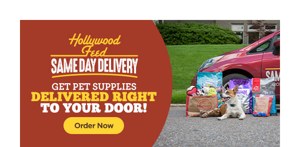 Hollywood feed best sale cat litter